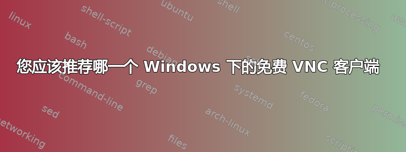 您应该推荐哪一个 Windows 下的免费 VNC 客户端 