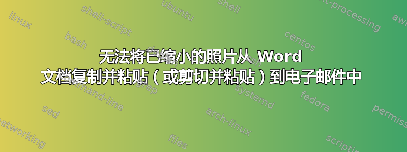 无法将已缩小的照片从 Word 文档复制并粘贴（或剪切并粘贴）到电子邮件中