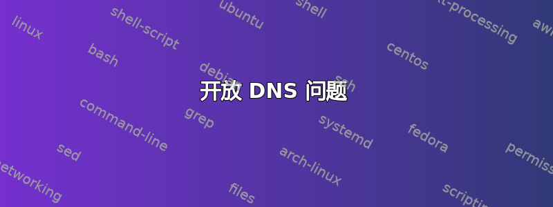 开放 DNS 问题