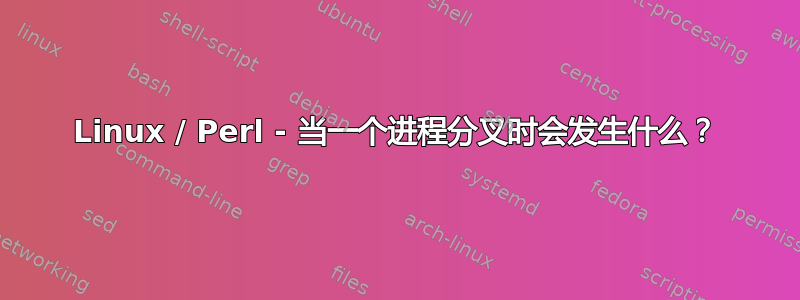 Linux / Perl - 当一个进程分叉时会发生什么？