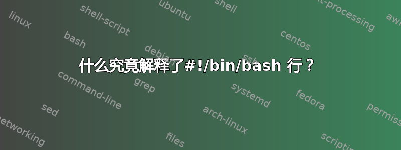 什么究竟解释了#!/bin/bash 行？