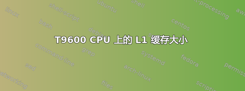 T9600 CPU 上的 L1 缓存大小