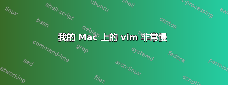 我的 Mac 上的 vim 非常慢