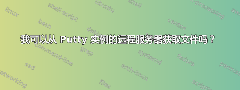 我可以从 Putty 实例的远程服务器获取文件吗？