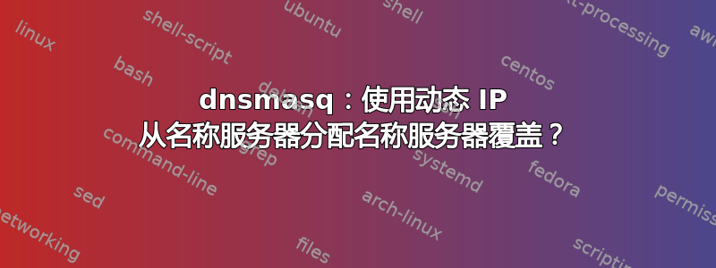 dnsmasq：使用动态 IP 从名称服务器分配名称服务器覆盖？