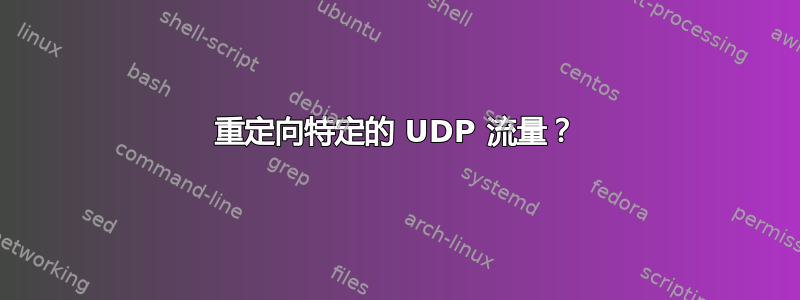 重定向特定的 UDP 流量？