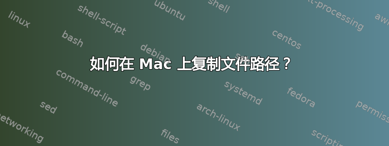 如何在 Mac 上复制文件路径？