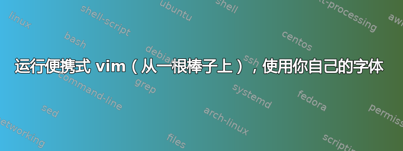 运行便携式 vim（从一根棒子上），使用你自己的字体