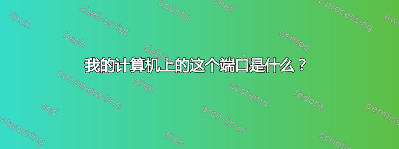 我的计算机上的这个端口是什么？