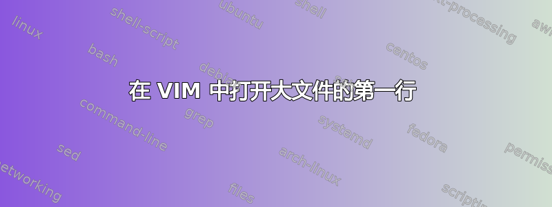 在 VIM 中打开大文件的第一行