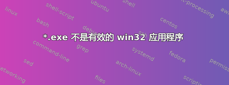 *.exe 不是有效的 win32 应用程序