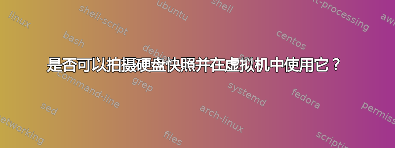 是否可以拍摄硬盘快照并在虚拟机中使用它？