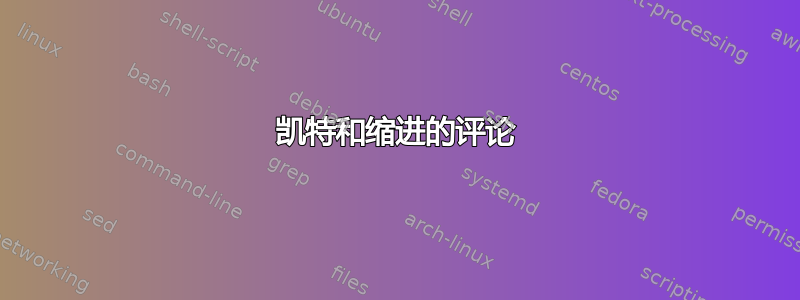 凯特和缩进的评论