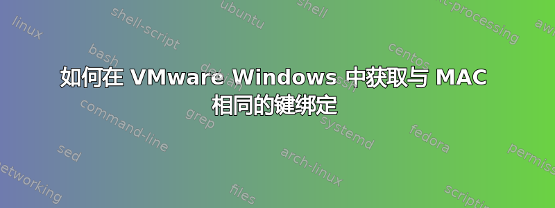 如何在 VMware Windows 中获取与 MAC 相同的键绑定