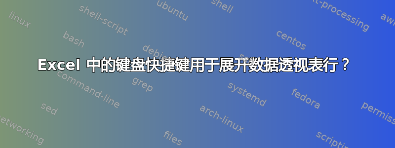 Excel 中的键盘快捷键用于展开数据透视表行？