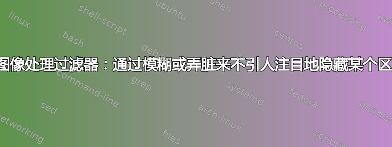 需要图像处理过滤器：通过模糊或弄脏来不引人注目地隐藏某个区域？