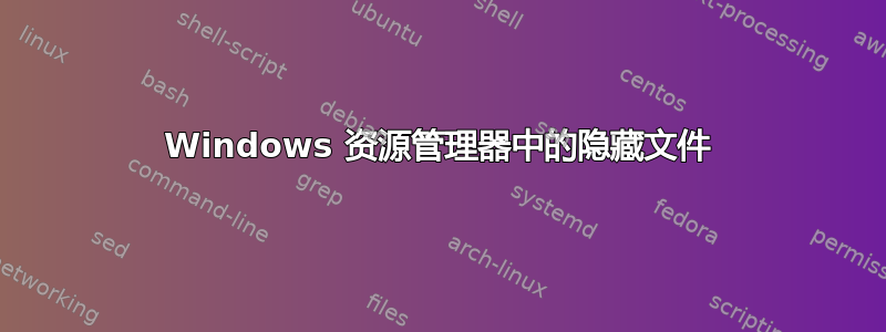 Windows 资源管理器中的隐藏文件