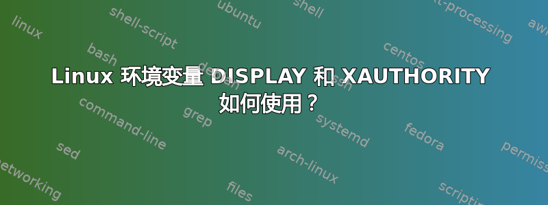 Linux 环境变量 DISPLAY 和 XAUTHORITY 如何使用？