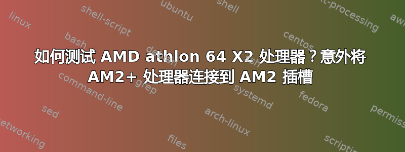 如何测试 AMD athlon 64 X2 处理器？意外将 AM2+ 处理器连接到 AM2 插槽