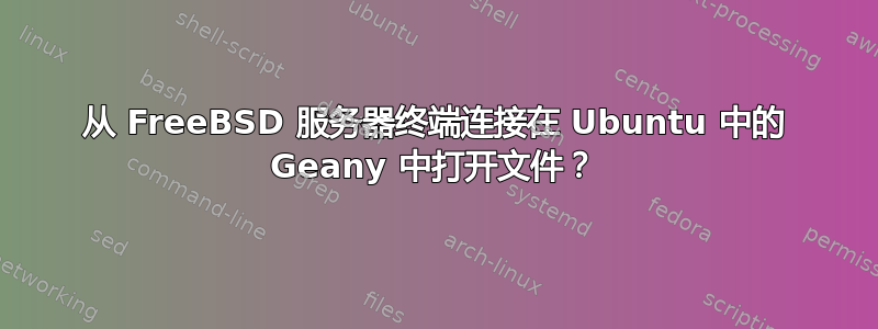 从 FreeBSD 服务器终端连接在 Ubuntu 中的 Geany 中打开文件？