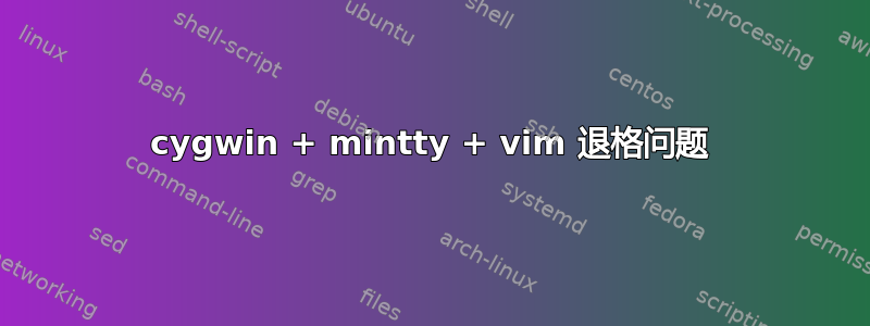 cygwin + mintty + vim 退格问题