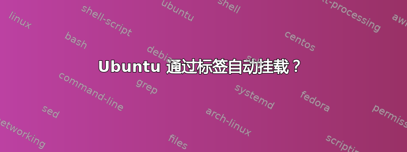 Ubuntu 通过标签自动挂载？