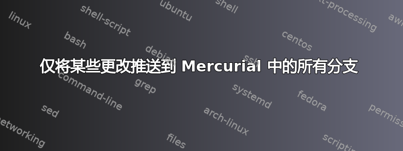 仅将某些更改推送到 Mercurial 中的所有分支