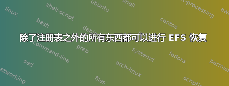 除了注册表之外的所有东西都可以进行 EFS 恢复