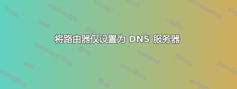 将路由器仅设置为 DNS 服务器