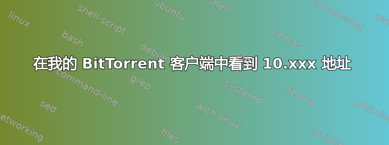 在我的 BitTorrent 客户端中看到 10.xxx 地址