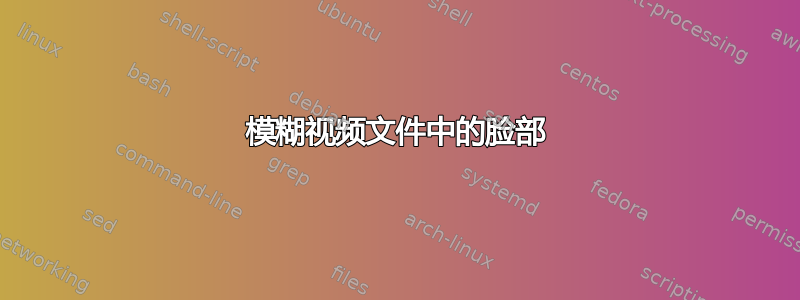 模糊视频文件中的脸部