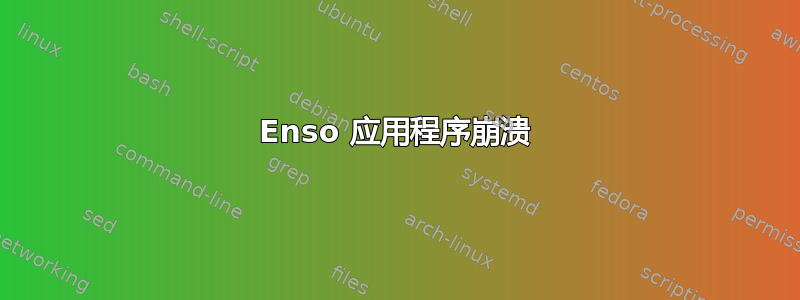 Enso 应用程序崩溃