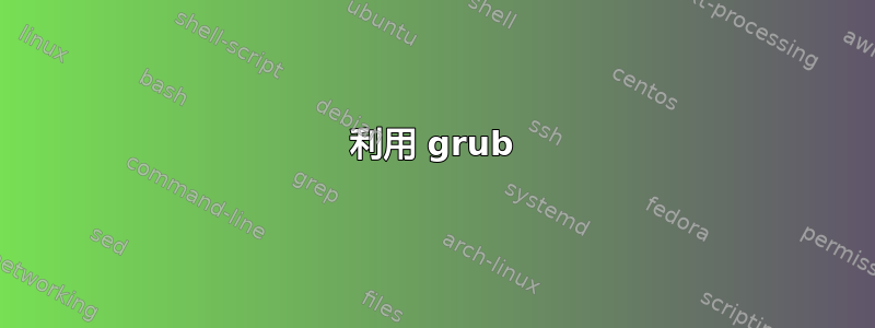 利用 grub