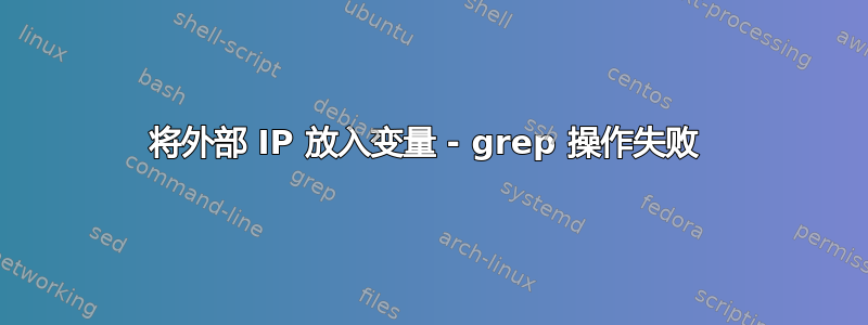 将外部 IP 放入变量 - grep 操作失败 