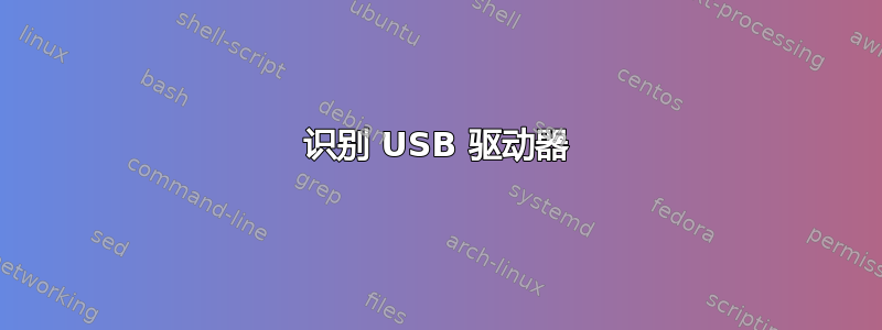 识别 USB 驱动器