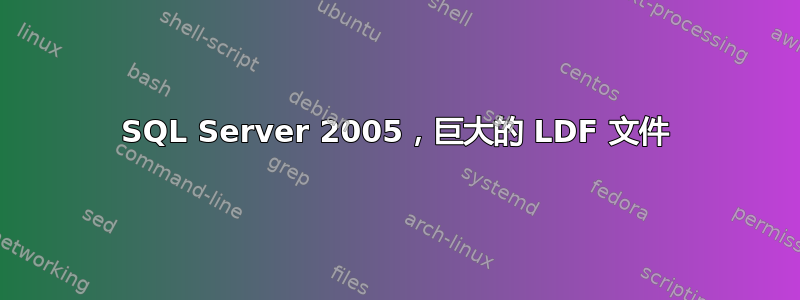 SQL Server 2005，巨大的 LDF 文件