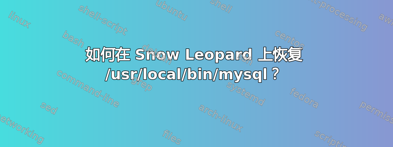 如何在 Snow Leopard 上恢复 /usr/local/bin/mysql？