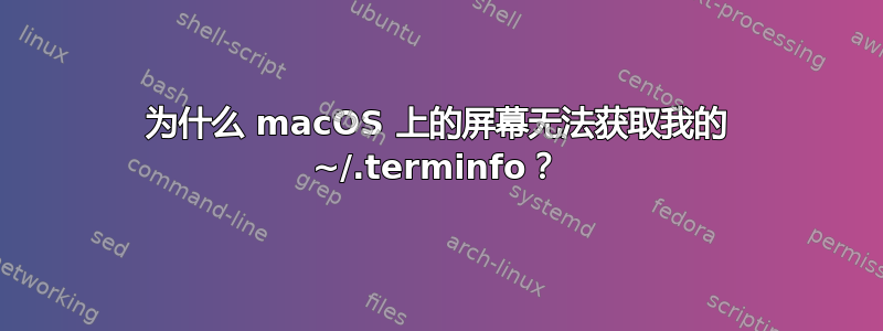 为什么 macOS 上的屏幕无法获取我的 ~/.terminfo？