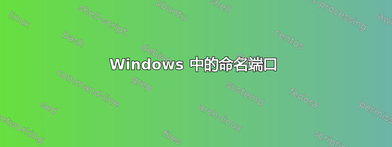 Windows 中的命名端口