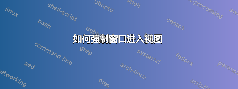 如何强制窗口进入视图