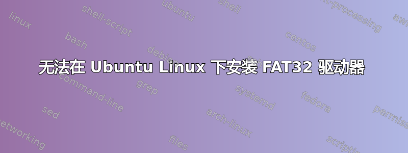 无法在 Ubuntu Linux 下安装 FAT32 驱动器