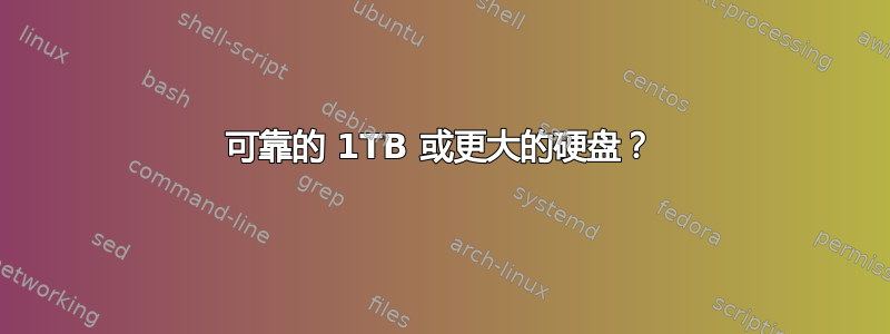 可靠的 1TB 或更大的硬盘？