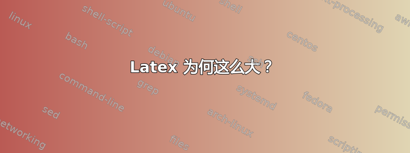 Latex 为何这么大？