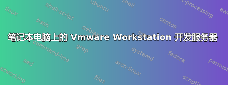 笔记本电脑上的 Vmware Workstation 开发服务器