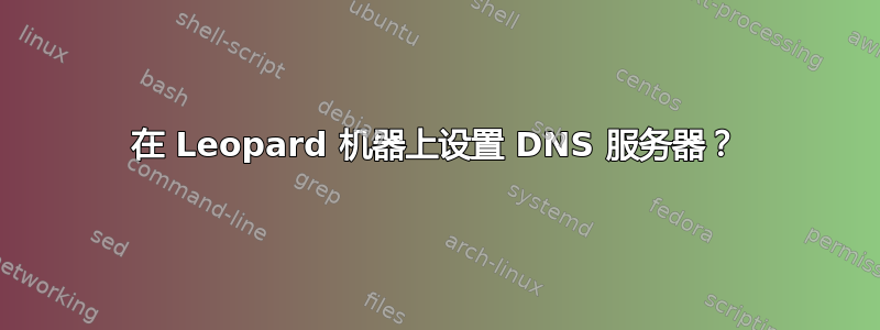 在 Leopard 机器上设置 DNS 服务器？