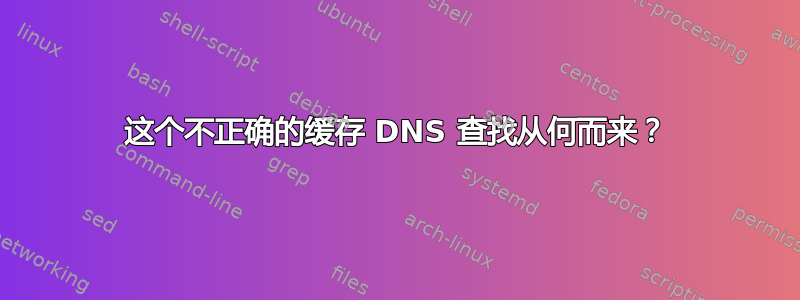 这个不正确的缓存 DNS 查找从何而来？