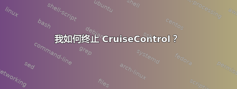 我如何终止 CruiseControl？