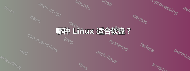 哪种 Linux 适合软盘？