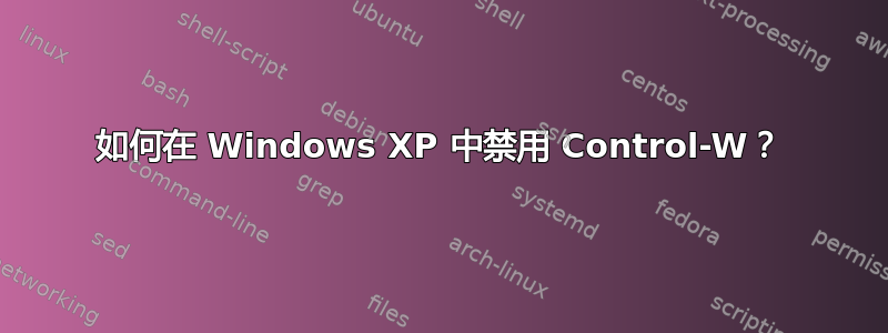 如何在 Windows XP 中禁用 Control-W？