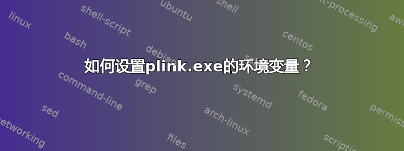 如何设置plink.exe的环境变量？